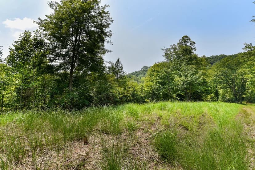 Vacant Land (0-10 Acres) in Marshall
