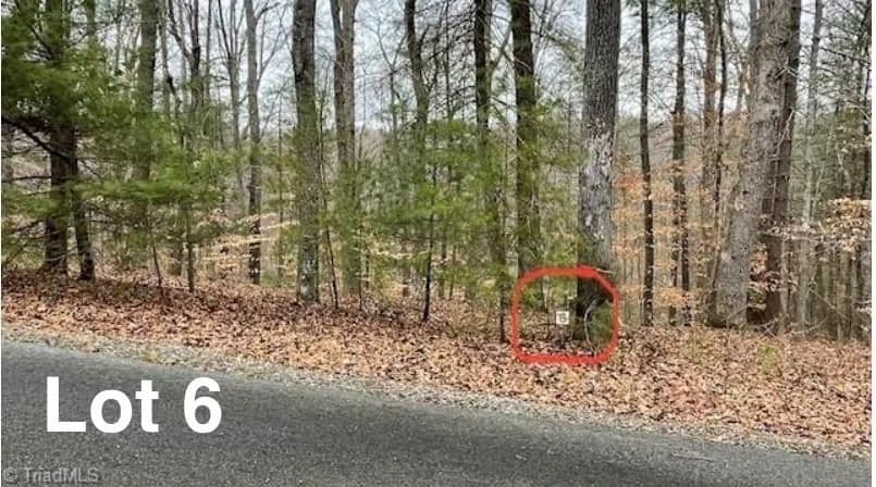 Vacant Land in Stuart - Stuart, Virginia, 24171