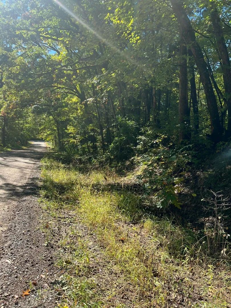 Vacant Land in Twin Lake - Twin Lake, Michigan, 49457