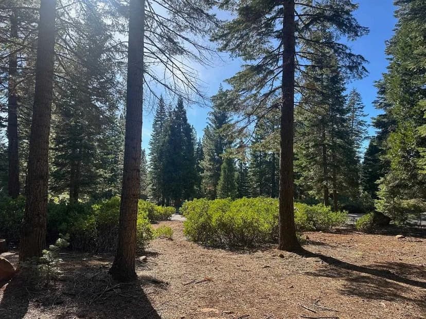 Vacant Land in Lake Almanor