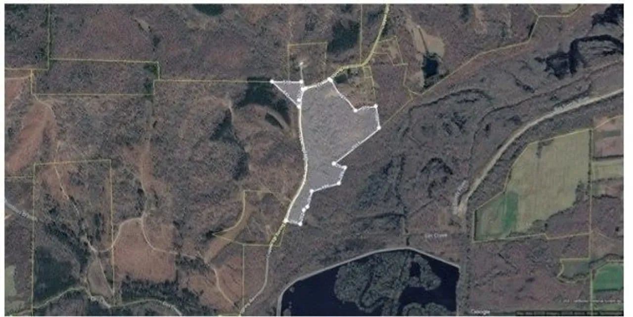 Hunt Ducks Deer and Turkey or build in Henry County! - Springville, Tennessee, 38256