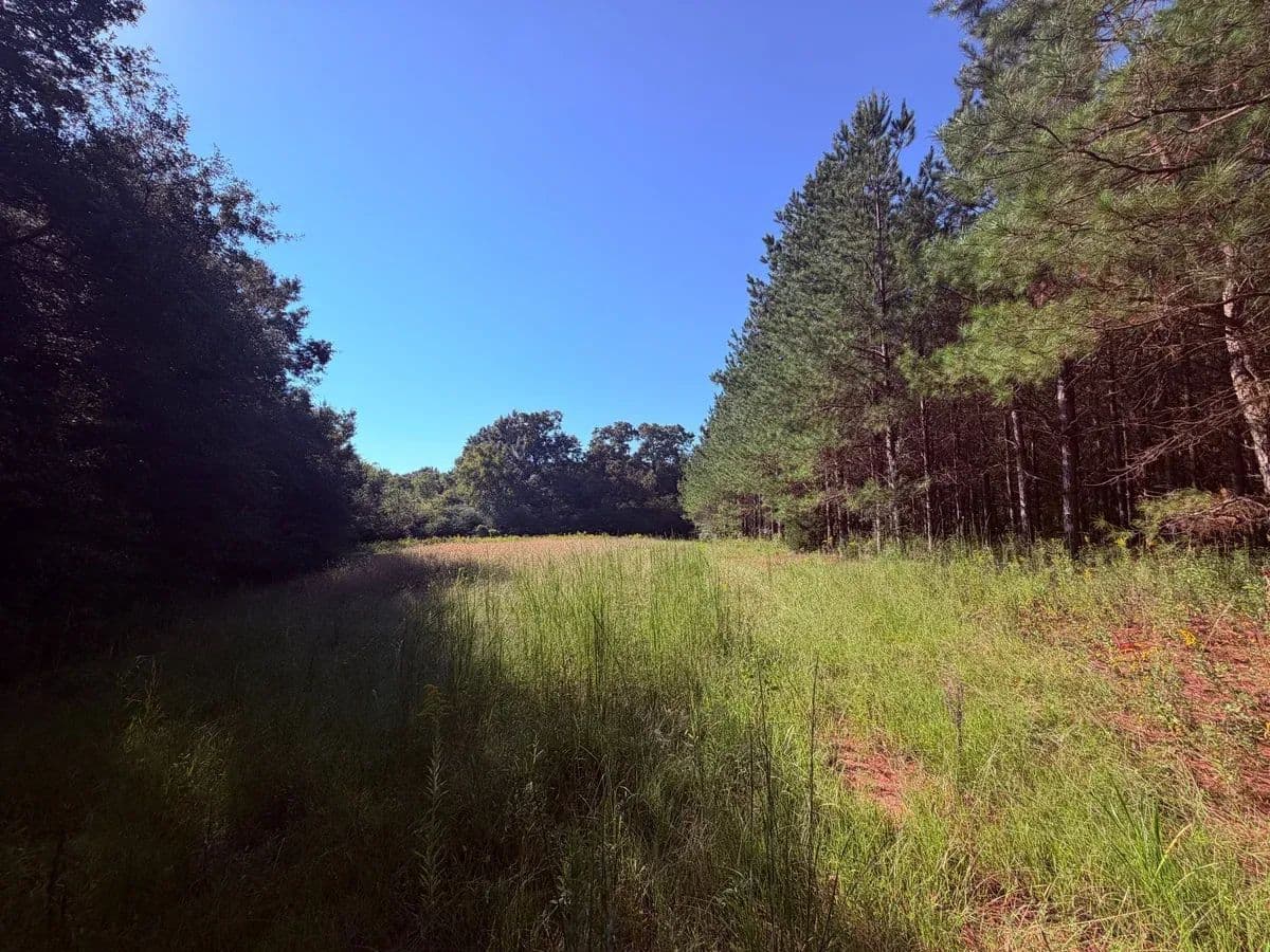 Thrasher Farms North - land for sale
