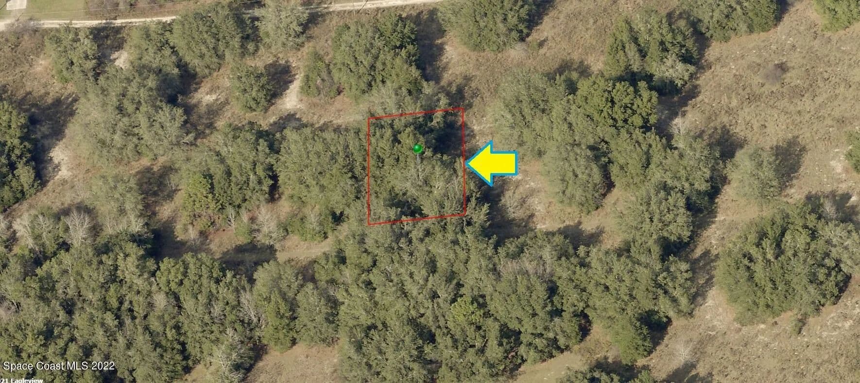 Vacant Land in Inverness - Inverness, Florida, 34453