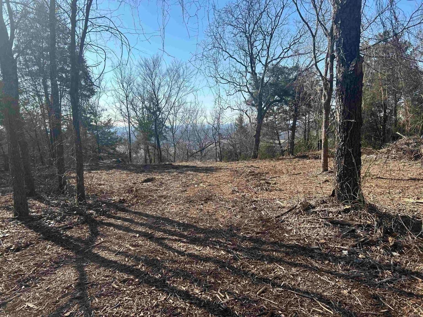 Lots & Land-Other in Pottsville - Pottsville, Arkansas, 72858
