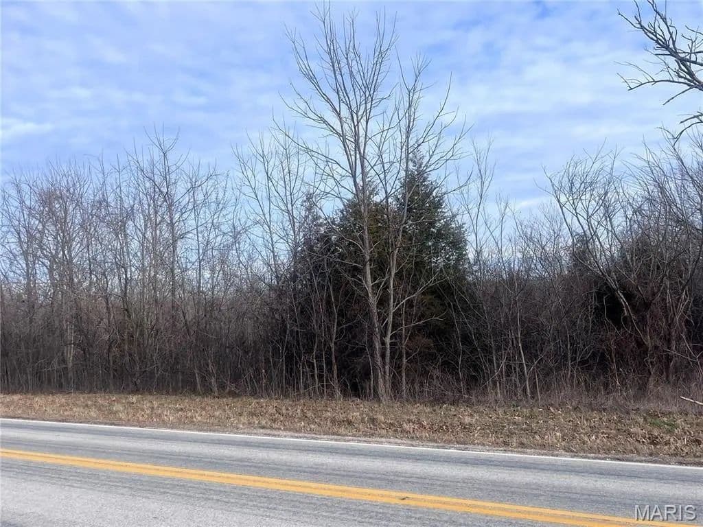 Lots & Land-Other in Falcon - Falcon, Missouri, 65536
