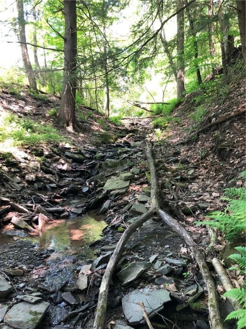 Land -Single Family Acreage in Bainbridge