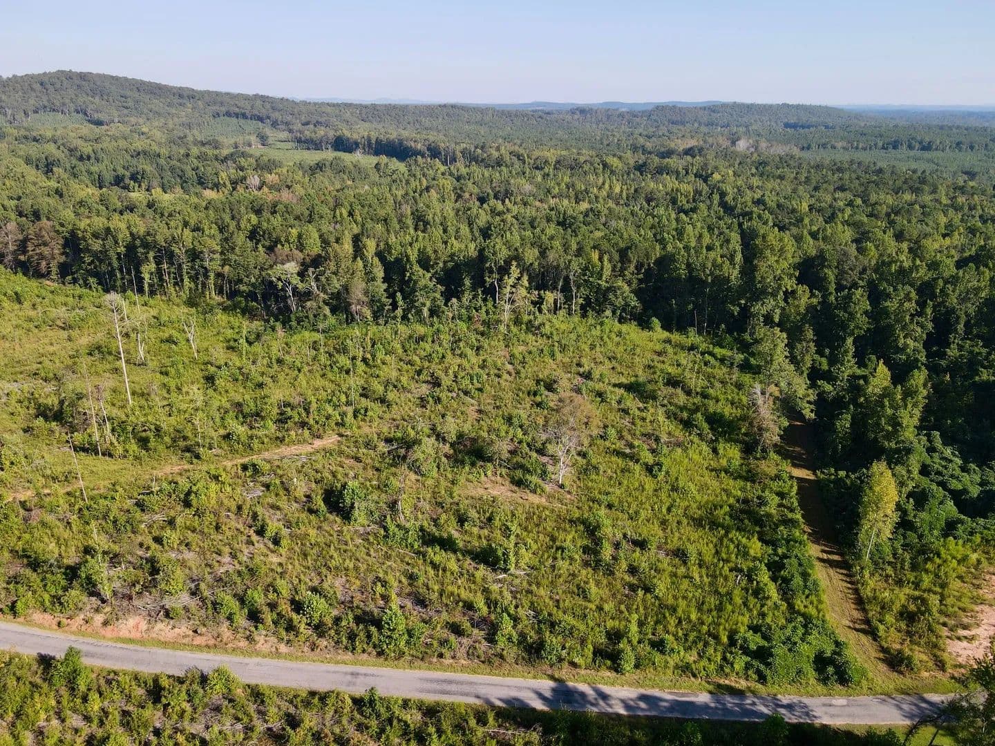 5 +/- acres on Dillard Rd - Alexander City, Alabama, 35010