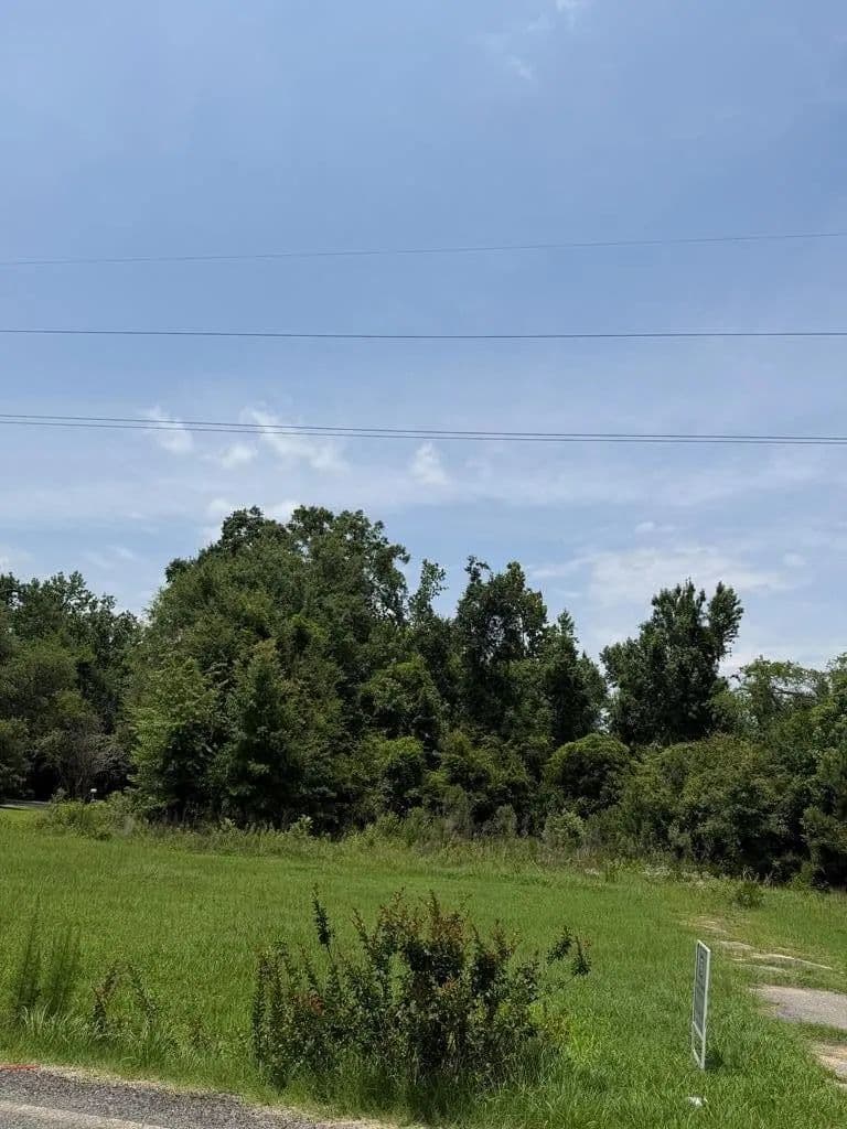 Lots & Land-Other in Colquitt - Colquitt, Georgia, 39837