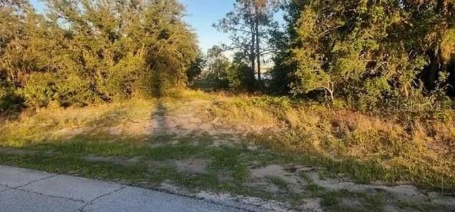 Lots & Land-Other in POINCIANA - Poinciana, Florida, 34759