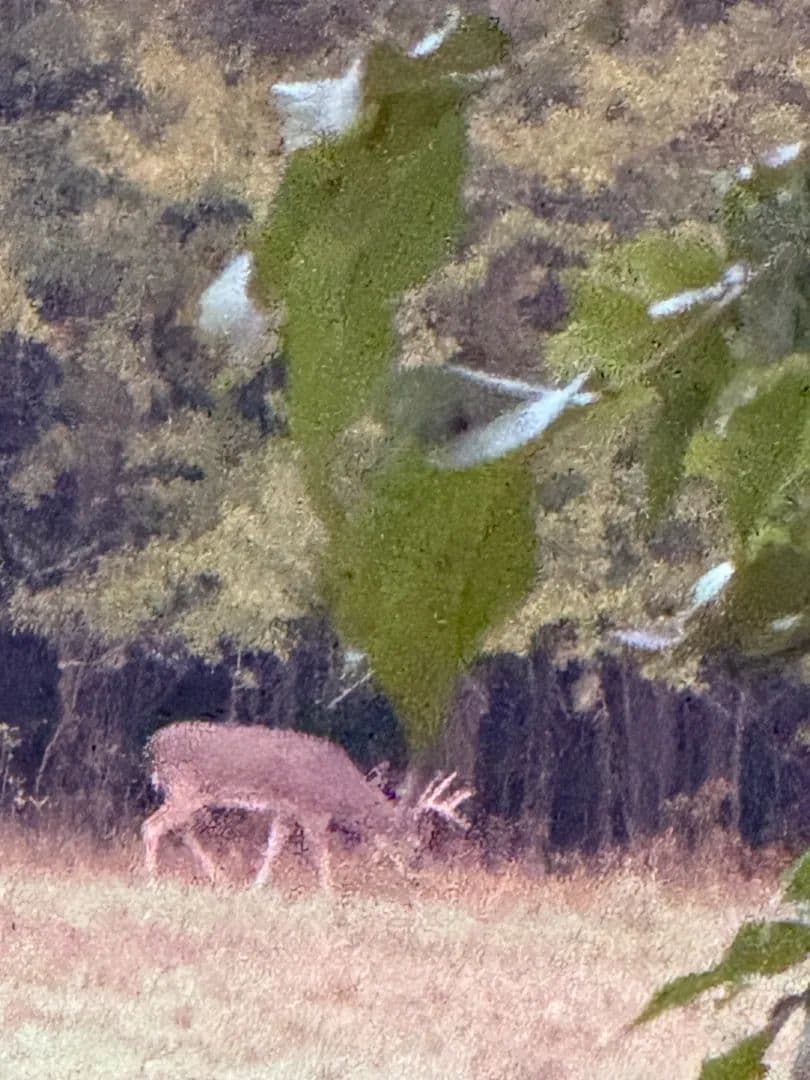 64.67 Acres in Panola County, MS 