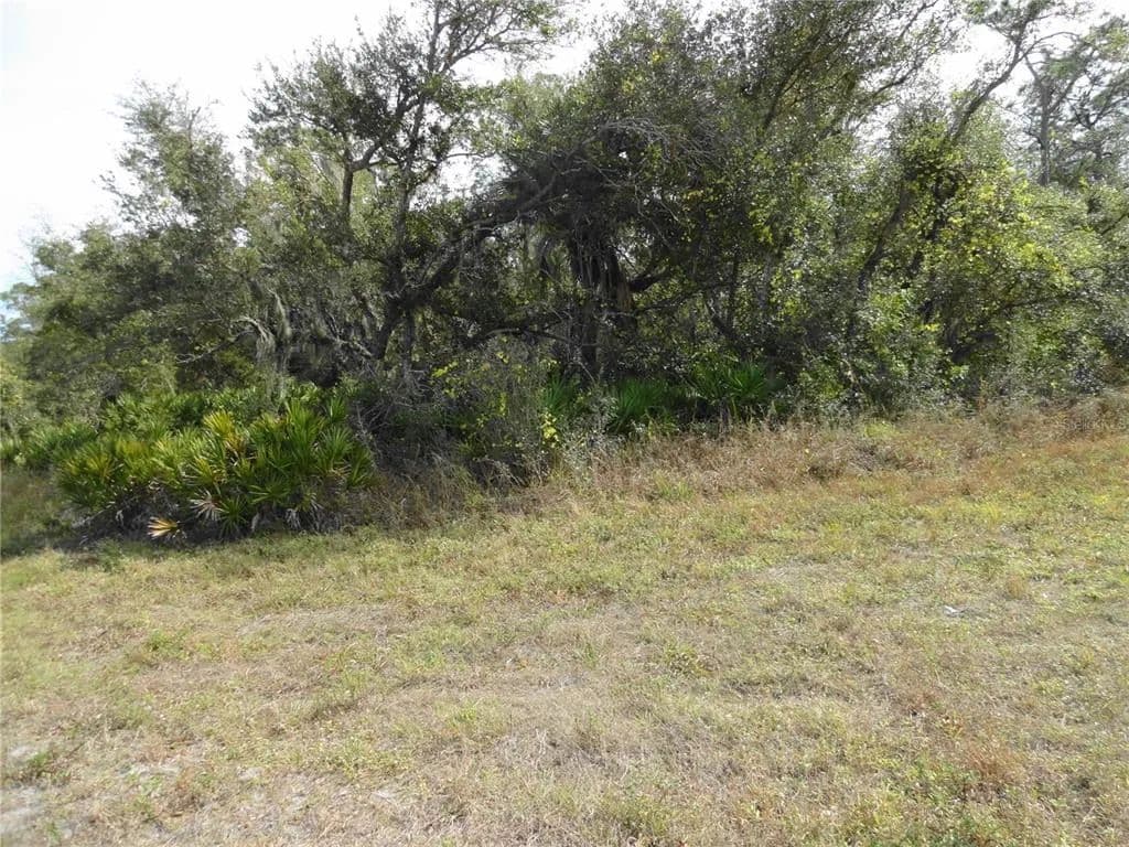 Vacant Land in Port Charlotte - Port Charlotte, Florida, 33948