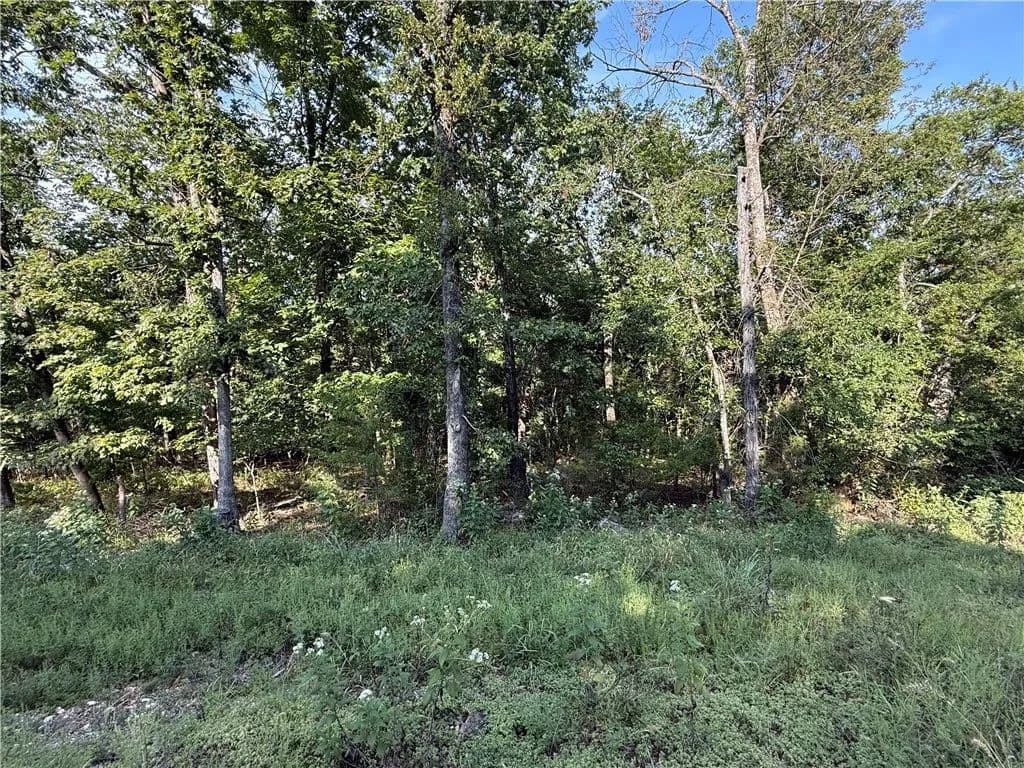 Vacant Land in Holiday Island - Holiday Island, Arkansas, 72631