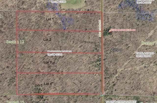Vacant Land in Delta - Delta, Wisconsin, 54856