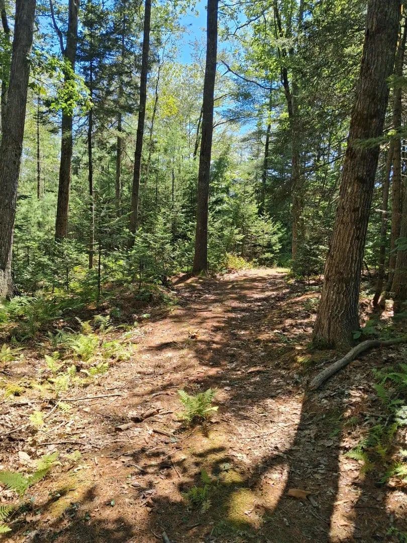 Property from 1.4 1.5 Spruce Ridge Subdivision - KW