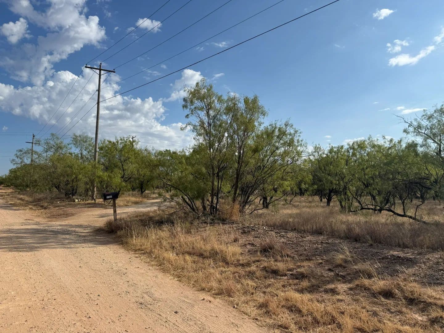 NEW LISTING!!  1.5 +/- Ac TBD Ave E, Anson - Anson, Texas, 79501