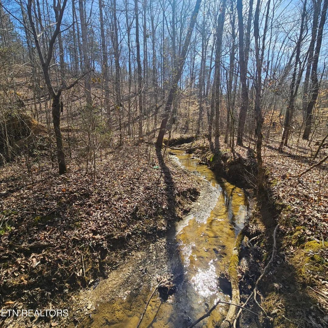 Vacant Land in Tellico Plains - Tellico Plains, Tennessee, 37385