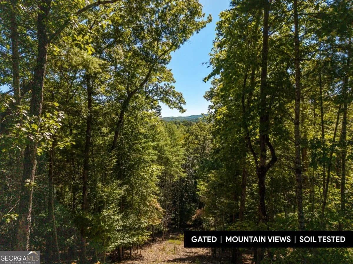 1.26 Acres of Land for Sale in Blue Ridge, GA - Blue Ridge, Georgia, 30513