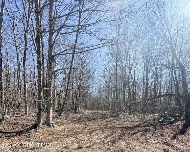 Lots & Land-Other in Tobyhanna