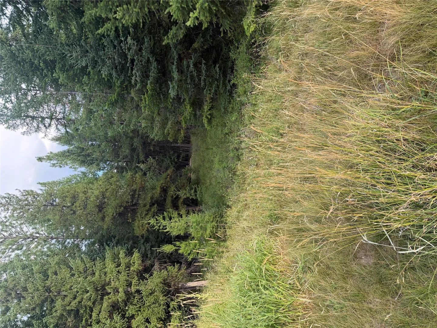 5.22 Acres of Land for Sale in Kila, MT - Kila, Montana, 59920