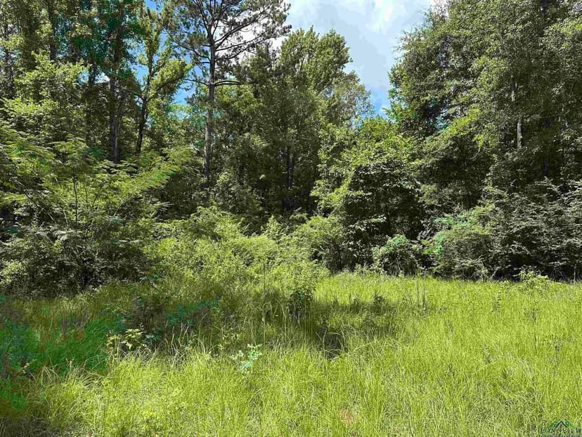 Lots & Land-Other in Elysian Fields