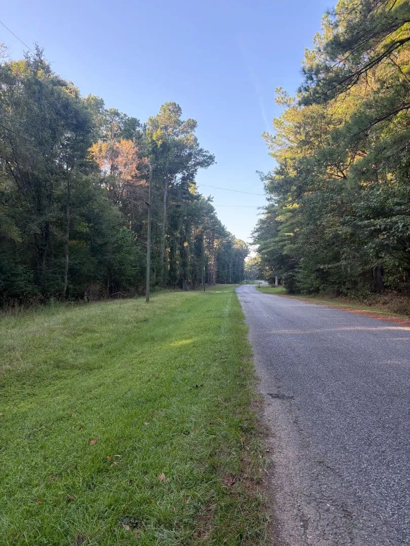 6.39 Acres in Winston County, MS  - Louisville, Mississippi, 39339