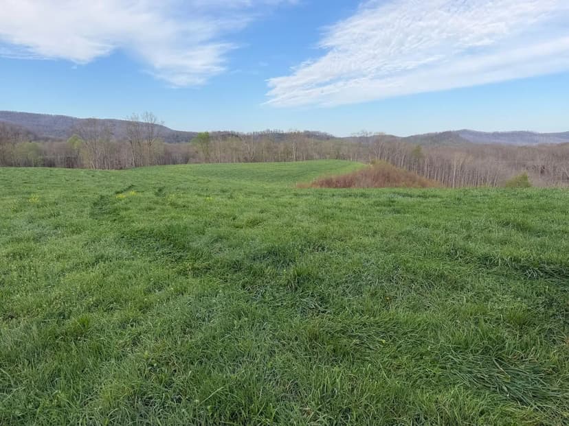 Lots & Land-Other in Alderson