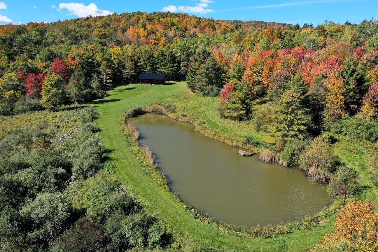 Log Home on 78 acres with Pond in Hartsville NY 5152 Woodworth Rd - Hartsville, New York, 14843