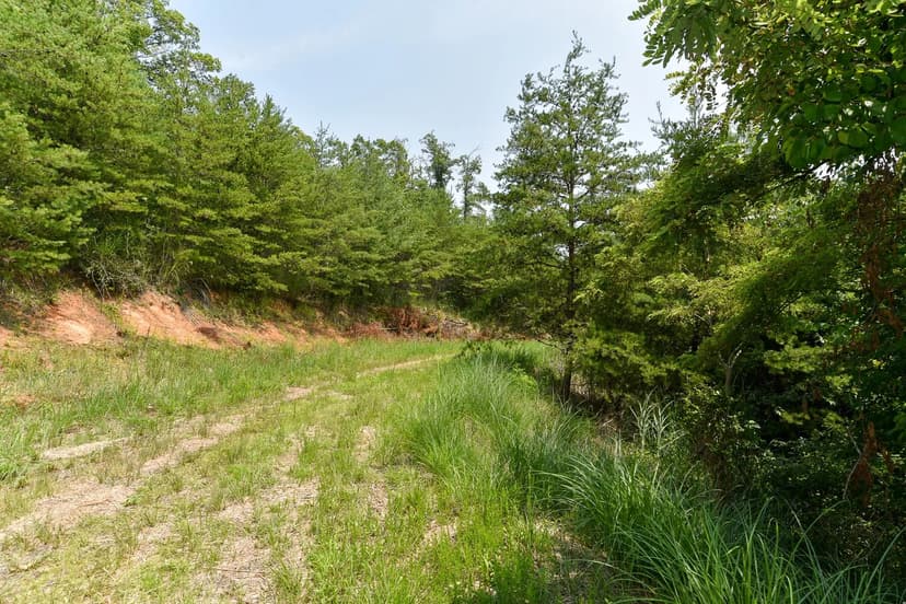 Vacant Land (0-10 Acres) in Marshall