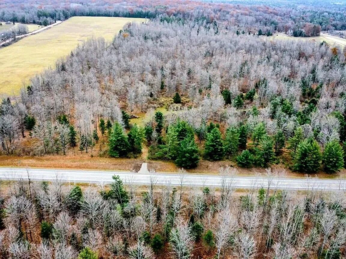 Property from 38.76 AC N Michigan 65 Highway - KW - Curran, Michigan, 48728