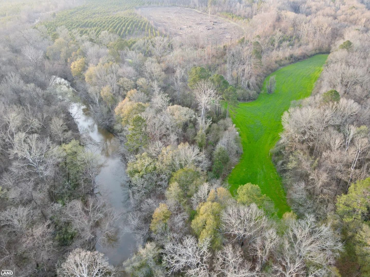The Black Belt Minter Cedar Creek Tract - Minter, Alabama, 36761