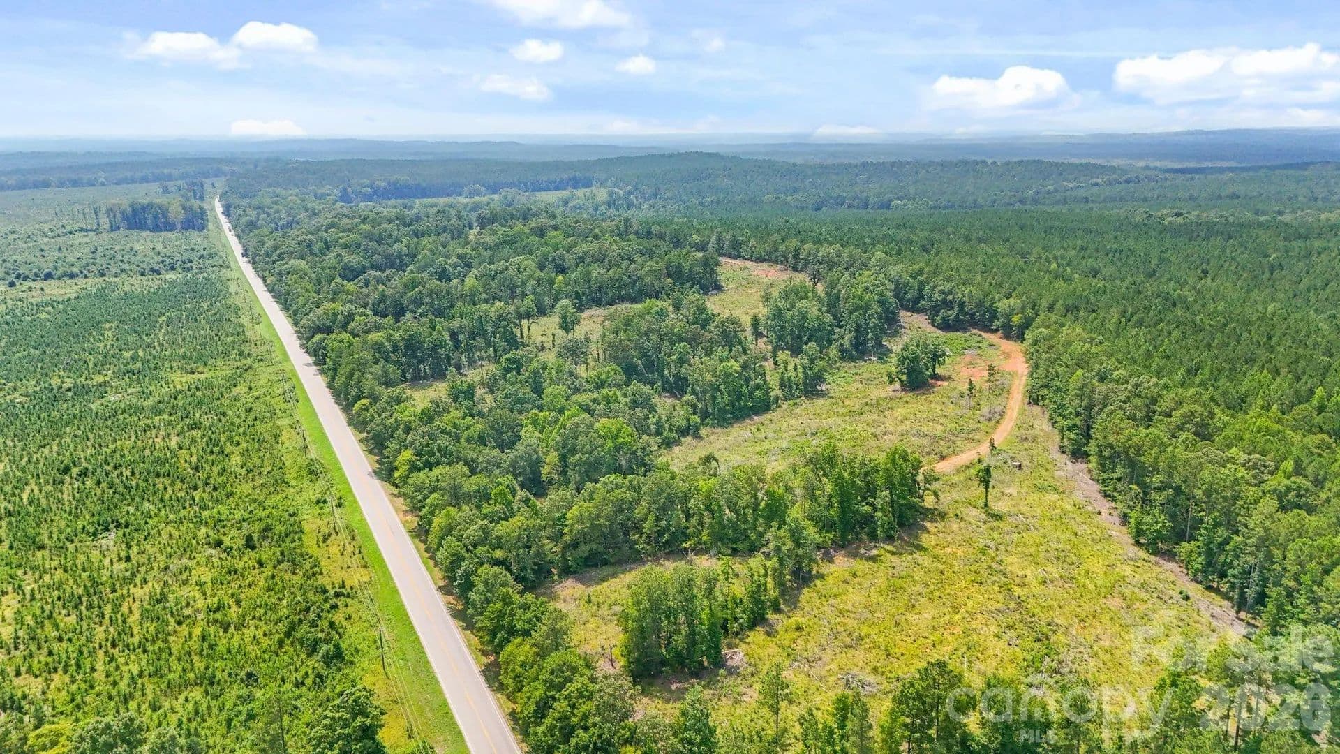 53 Acres of Land for Sale in Carlisle, SC - Carlisle, South Carolina, 29031