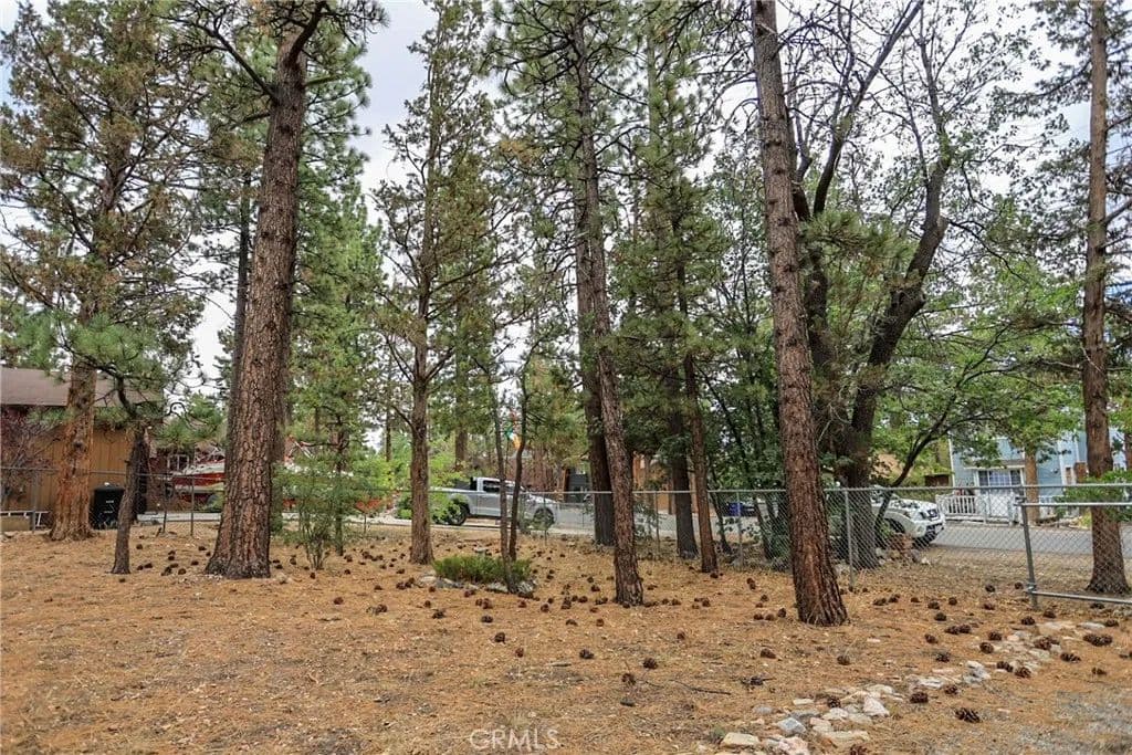 Vacant Land in Sugarloaf - Sugarloaf, California, 92386