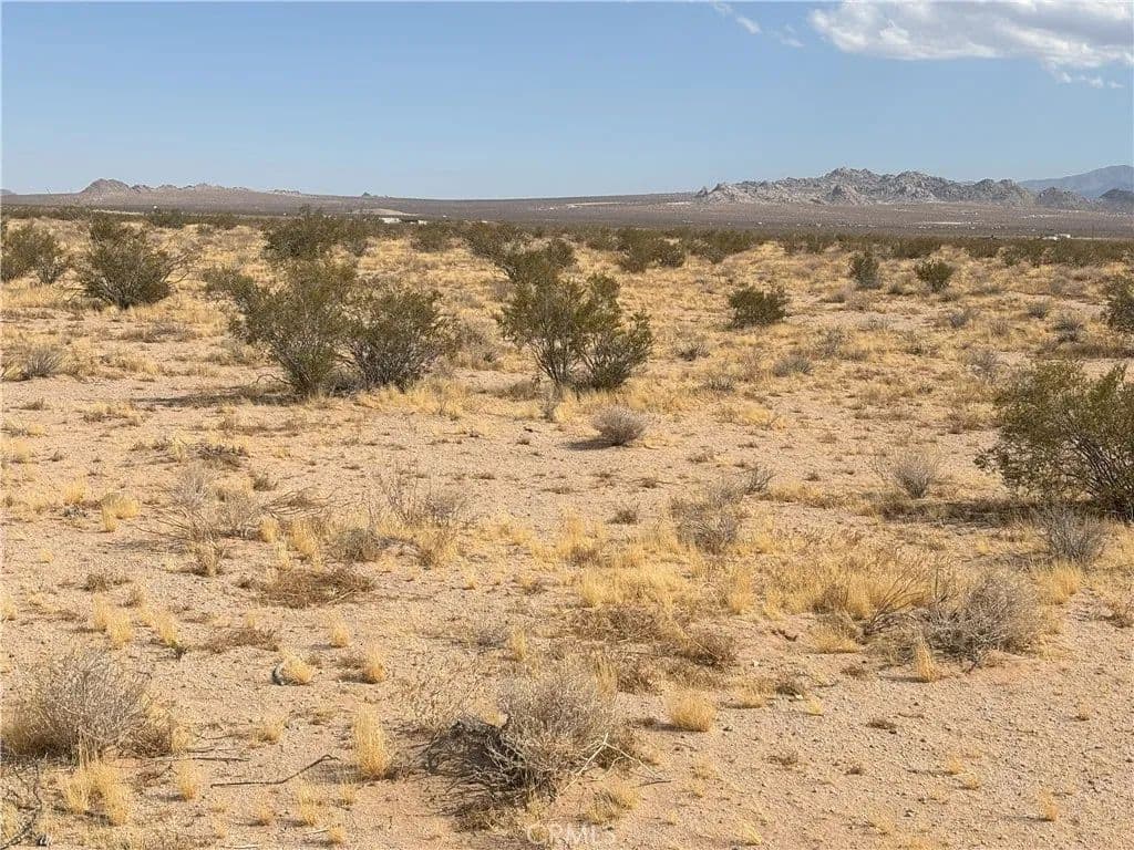 Vacant Land in Lucerne Valley - Lucerne Valley, California, 92356