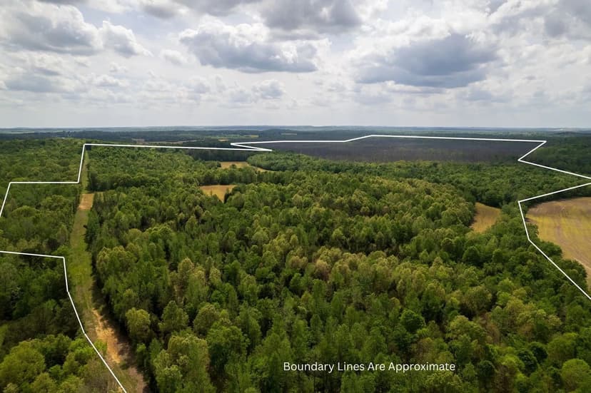 Elk Pond Creek 266 Acres Muhlenberg Co KY
