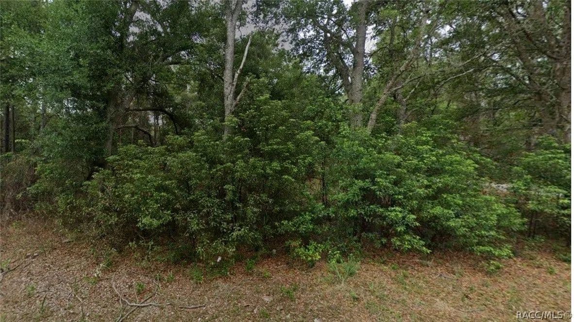 Lots & Land-Other in Crystal River - Crystal River, Florida, 34428