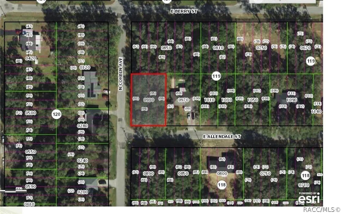 Lots & Land-Other in Inverness - Inverness, Florida, 34453
