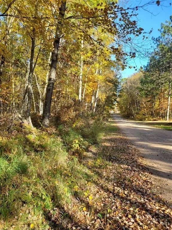 Vacant Land in Holcombe - Holcombe, Wisconsin, 54745