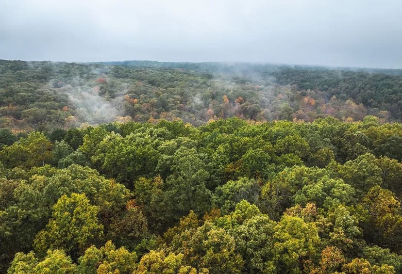 Marquart Hunting Camp Tract 6