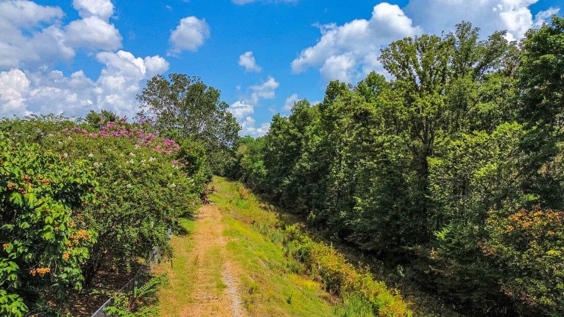 Little Catoma Creek Timber and Hunting Investment Tract - Montgomery, Alabama, 36166
