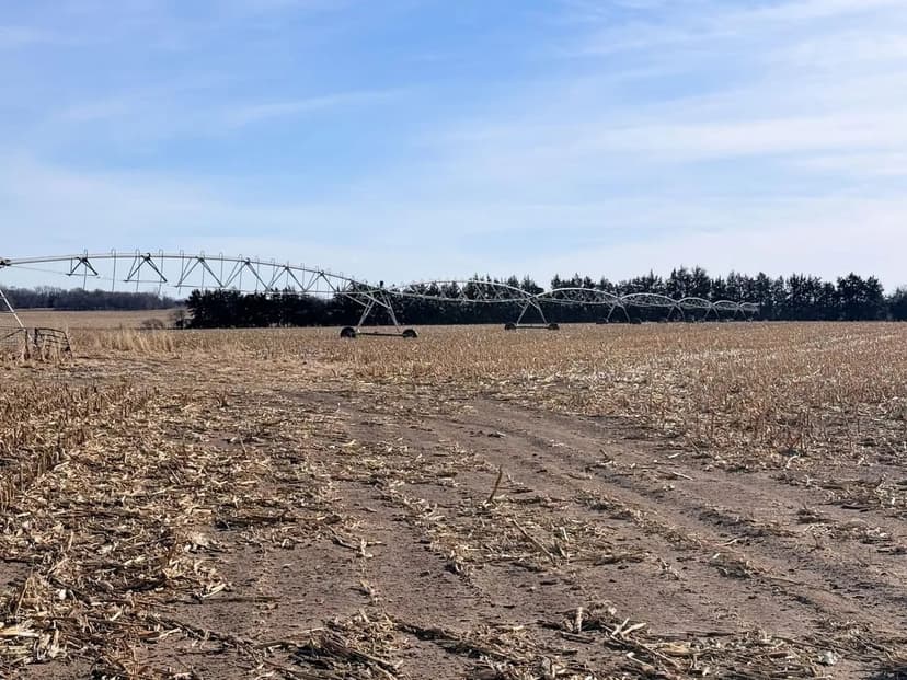 156.84 Acres +/- Antelope Co. Irrigated Farmland w/ Improvements TRACT #1