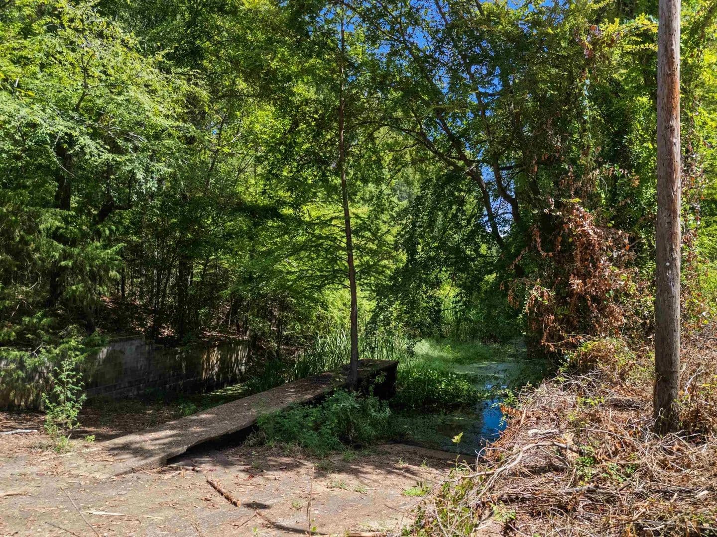Lots & Land-Other in Karnack - land for sale