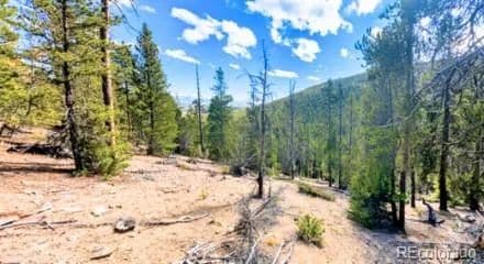 7.9 Acres of Land for Sale in Leadville, CO - Leadville, Colorado, 80461
