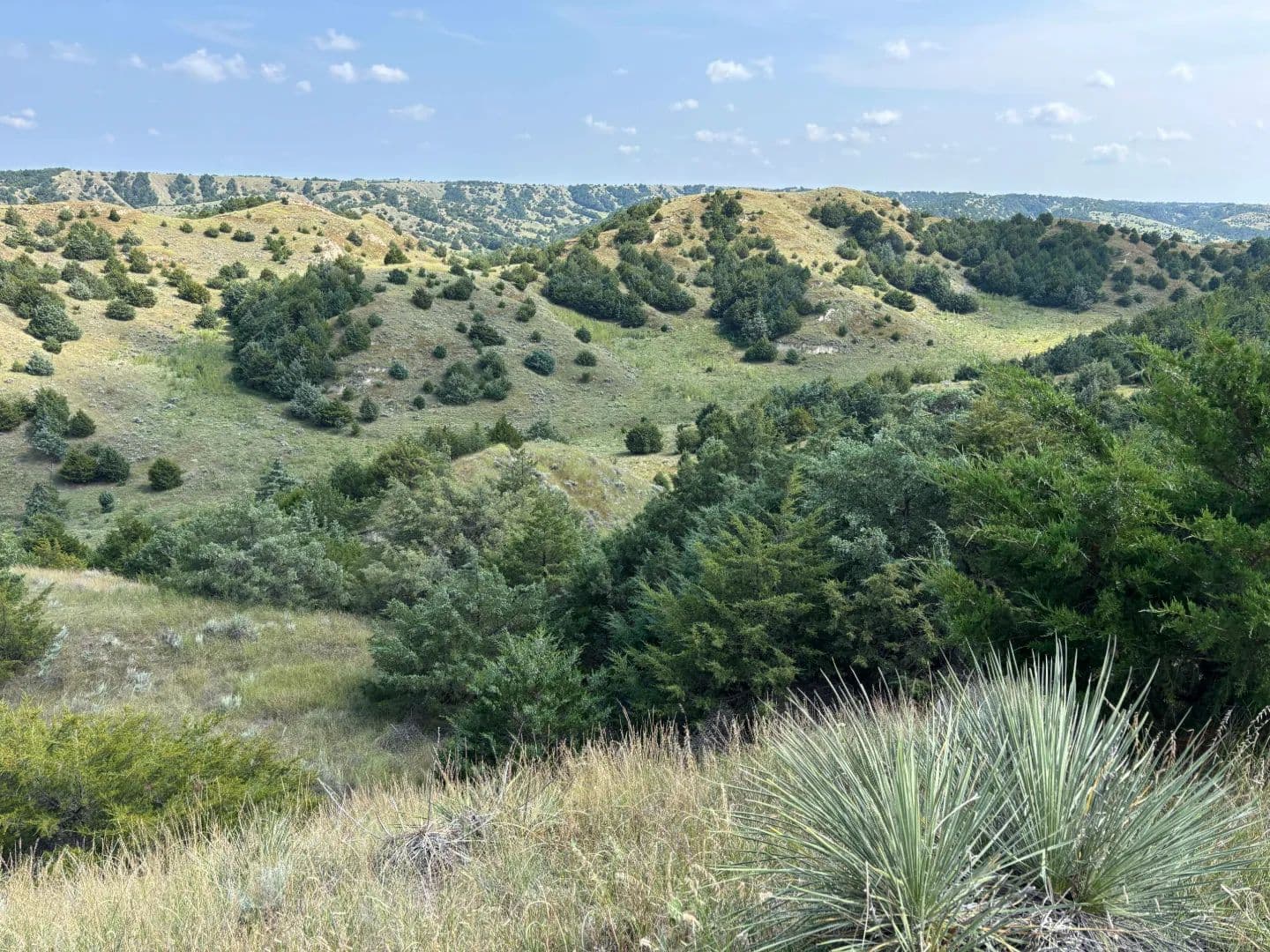 Moran Canyon Range - North Platte, Nebraska