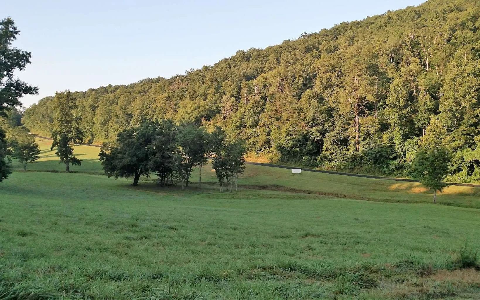 Lots & Land-Other in Hayesville - Hayesville, North Carolina, 28904