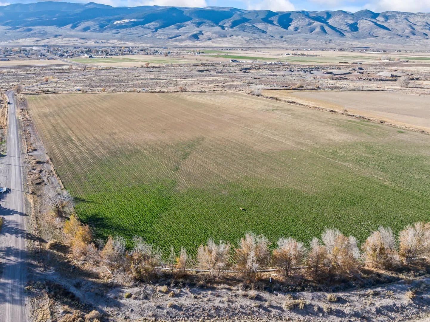 Land -Agricultural (Not Zoned) in Joseph - Joseph, Utah, 84739