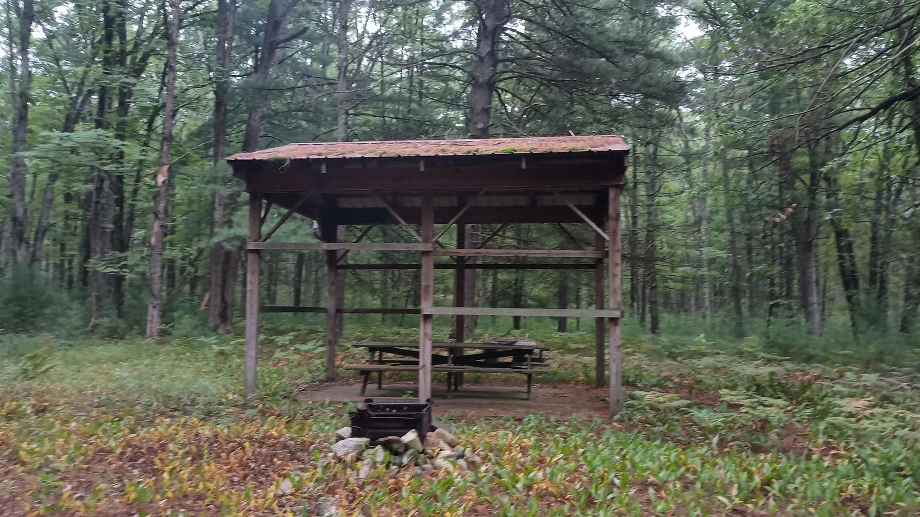 Vacant Land in Bitely - Bitely, Michigan, 49309