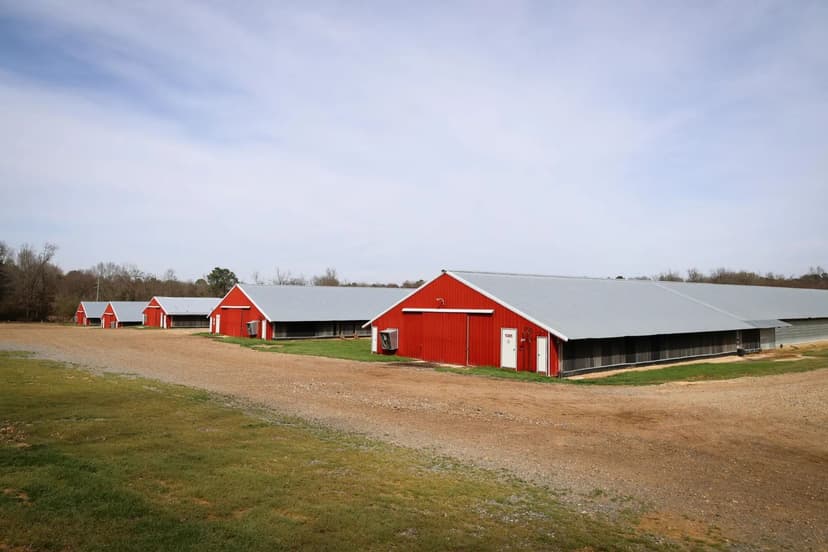 5 House Broiler Farm & Residence For Sale in North LA 