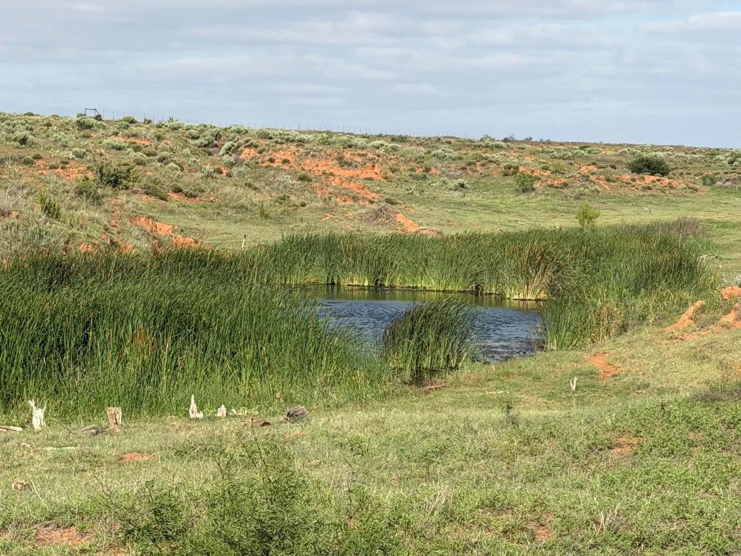 325 Acres of Land for Sale in Childress, TX - Childress, Texas, 79201