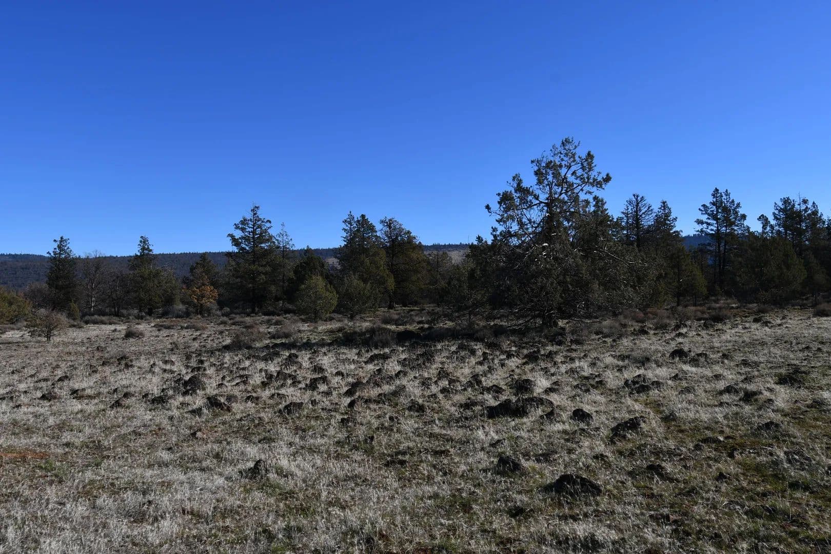 Lots & Land-Other in McArthur - Mcarthur, California, 96056