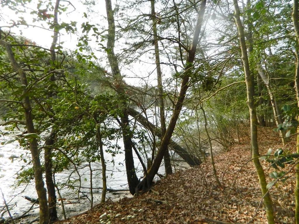 Land -Single Family Acreage in Machipongo - Machipongo, Virginia, 23405